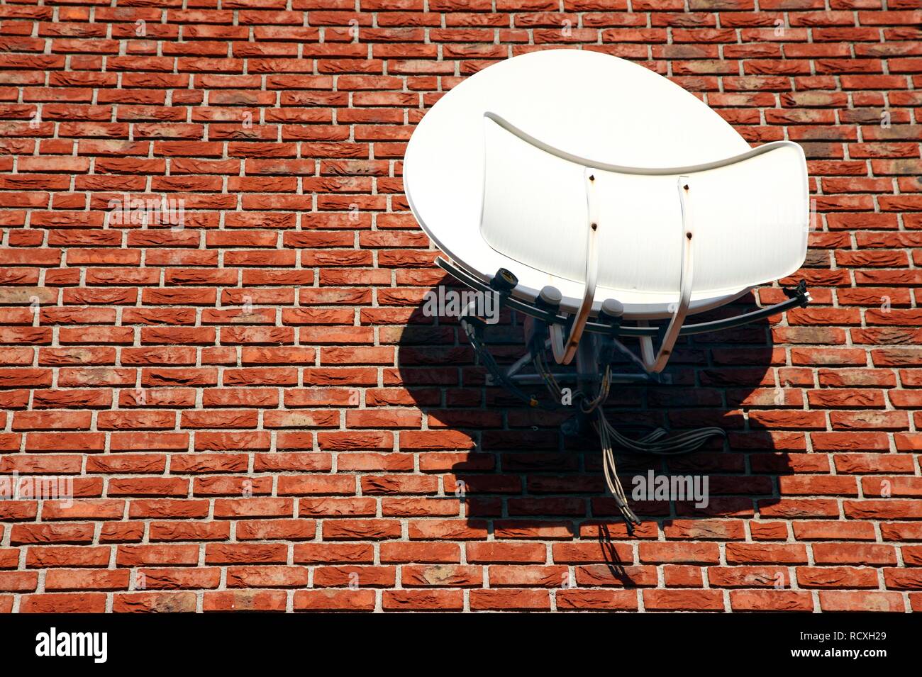 TV satellitare con amplificatore sul muro di mattoni di una casa, Duisburg, Renania settentrionale-Vestfalia Foto Stock