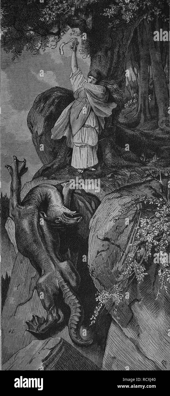 La leggenda di Drachenfels, xilografia 1888 Foto Stock