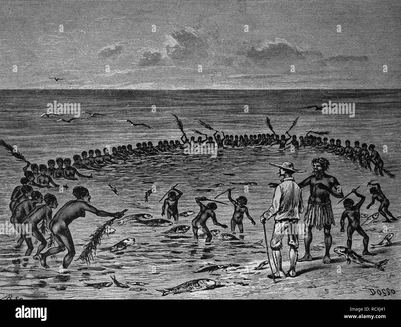 La pesca ai pescatori delle Isole Samoa, xilografia 1888 Foto Stock