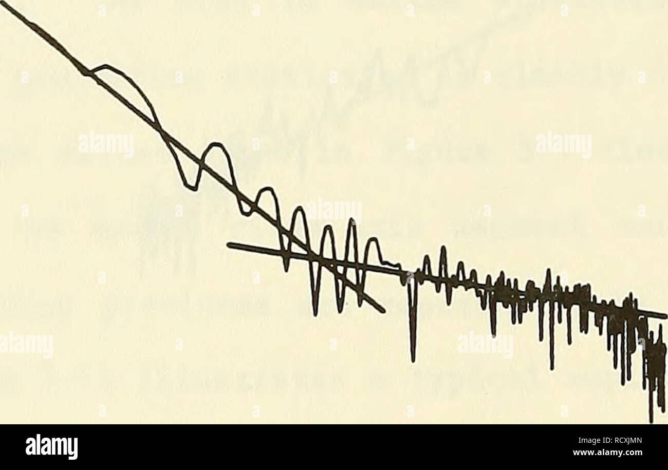 . Descrizione, analisi e previsioni del mare piano rugosità utilizzando modelli spettrali. Fondo dell'oceano; geologia sottomarini. 100 10' -I ^10Â° g 10-' â Sio-^' ^ 10-'-HO UN UJ N 5^10 10-5. 10-* 10- 16 24 32 40 Distanza (Km) 48 56. 10' 10Â° 10' FREQUENZA (CYQES/KIIOMETER) 10' tipico spettro di ampiezza dei profili raccolti su ciuffi Abyssal Plain. Spettro mostra due distinti segmenti rettilinei * che si intersecano in corrispondenza di una frequenza spaziale di 0,4 cicli/km. Il più lungo tratto di lunghezza d'onda è descritta da b Â" -1.847, a = 0.0294 m. La lunghezza d'onda più breve segmento è descritto da b = -0.541, S = 0. Foto Stock