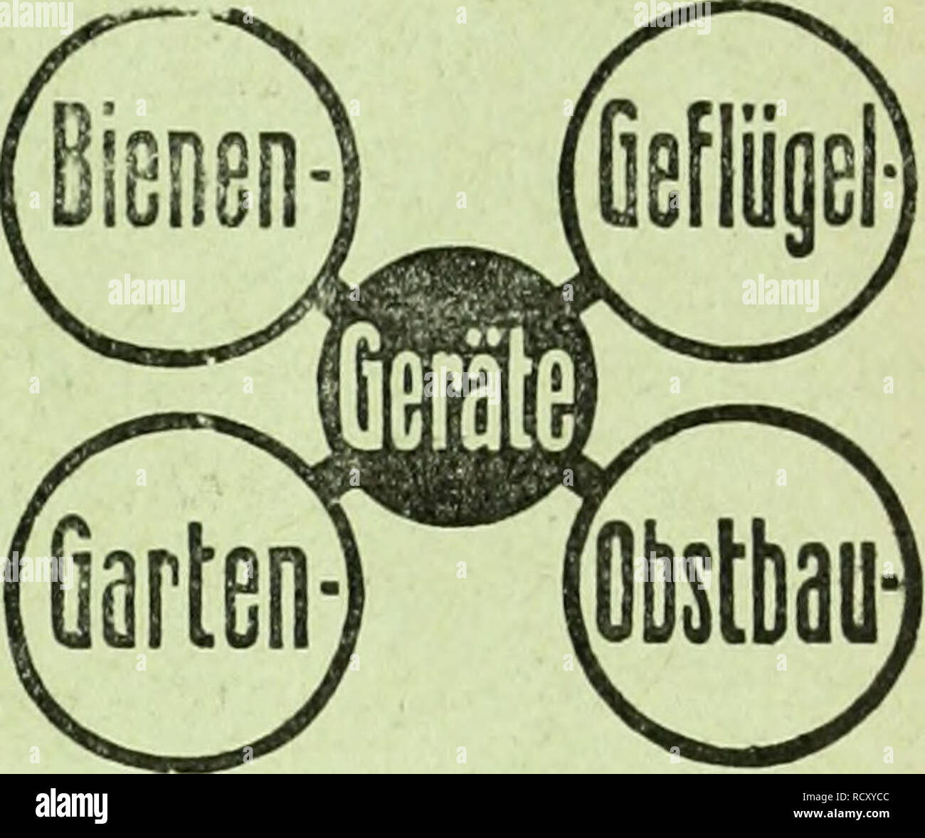 . Der Ornithologische Beobachter. Gli uccelli; uccelli. Als Papageiflitter und für Aus- saat versendet franko per Kg. Fr. 3. -- Hans i^chäppi, Gartenbaugeschäft, ITIuralto-liOcarno. ^. Preisliste gratis und franke X M. Schobinger-Huber Emmenbriicke b. Luzero Futtersteine aeur WiuterfUtteruug freilebeu- "ler Vögel, empfiehlt Fr. Christen, Huttwii. Du kennst den Vogel! Unsere einheimischen Vögel in prächtigem, naturgetreuem Farbendruck im Taschenbiicli "ler eiuheiinischeu Vögel, herausgegeb. von prot'. Il dottor Carl Hennicke. Mit 148 Abbildungen. Beschreibung der einzelnen Vogelarten. Nachscblagverzeichnis. Foto Stock