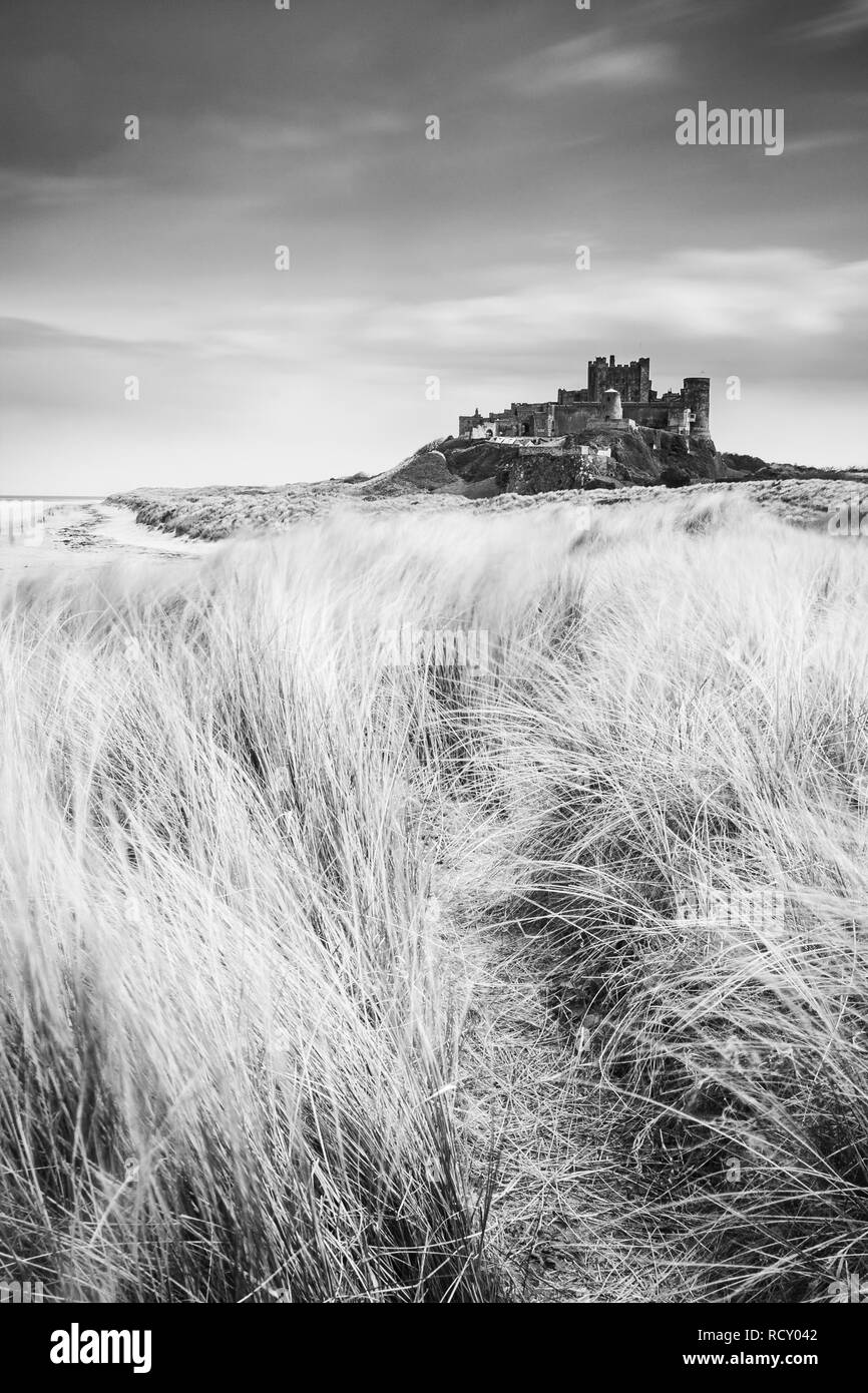 Inghilterra, Northumberland, Bamburgh Castle, l'erba. Una lunga esposizione sulla noiosa serata estiva mentre sulle dune del Northumberland Coast line cercando t Foto Stock