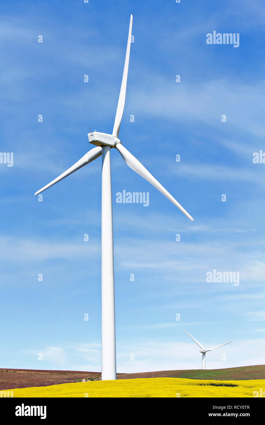 Eco-friendly Wind turbine Farm a Waubra Victoria Australia. Foto Stock