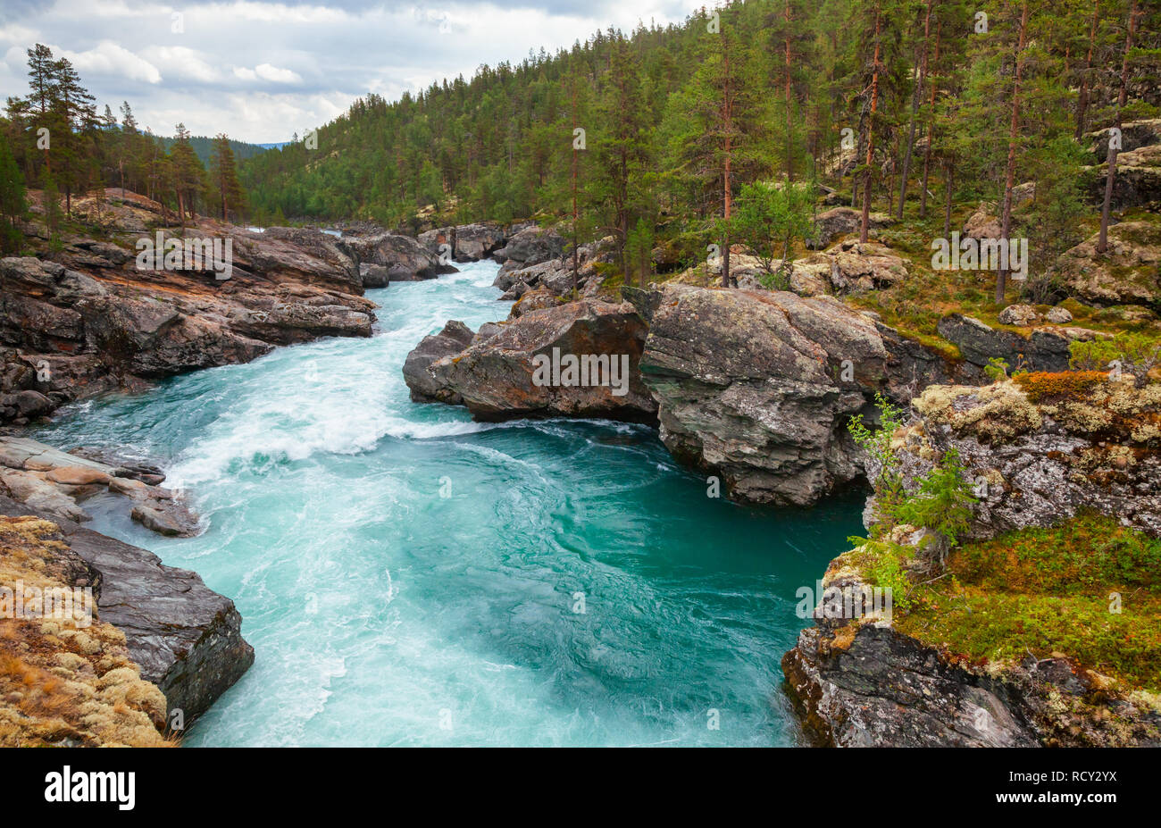 Rapide sul fiume Sjoa nella contea di Oppland orientale della Norvegia, Scandinavia, popolare per il rafting, kayak, riverboarding e altre attività Foto Stock