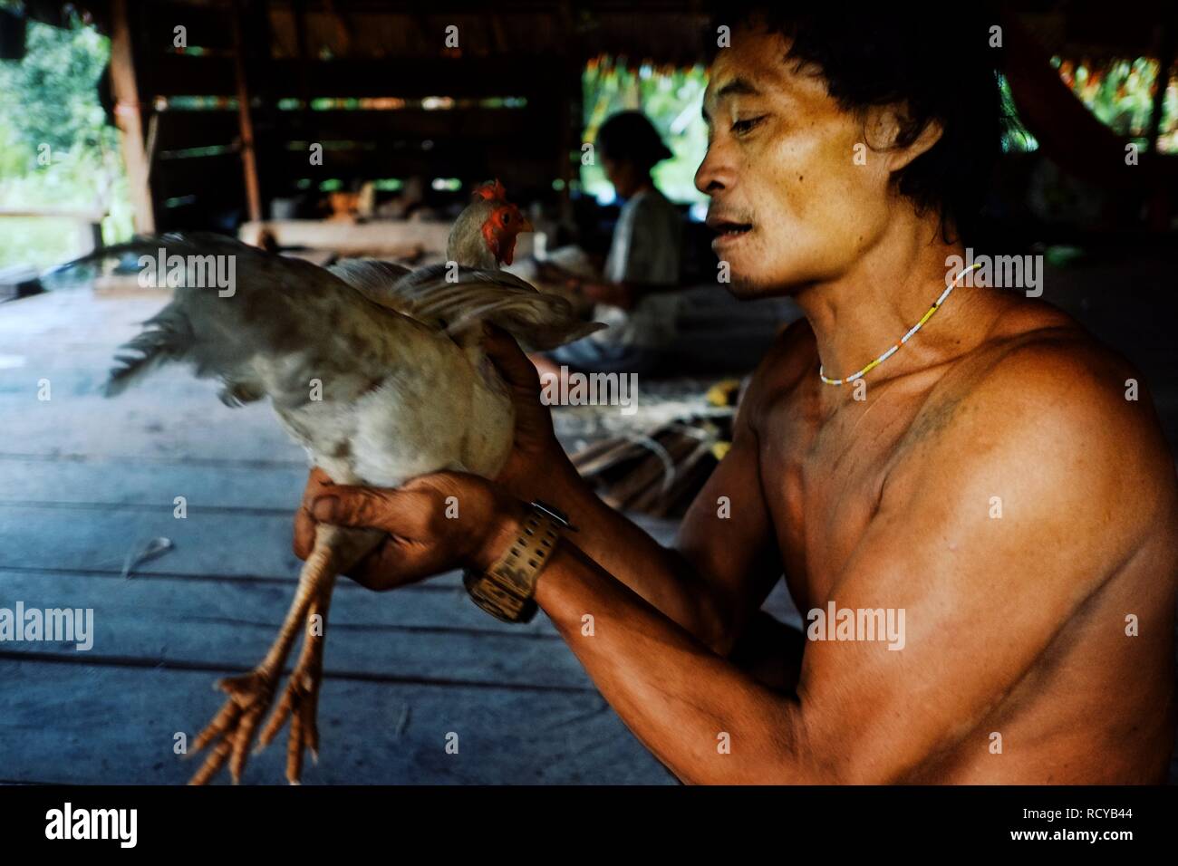 Muara Siberut, isole mentawai / Indonesia - 15 AGO 2017: Tribal stati Aman si sta preparando per la tradizionale festa di addio al suo jungle house Foto Stock