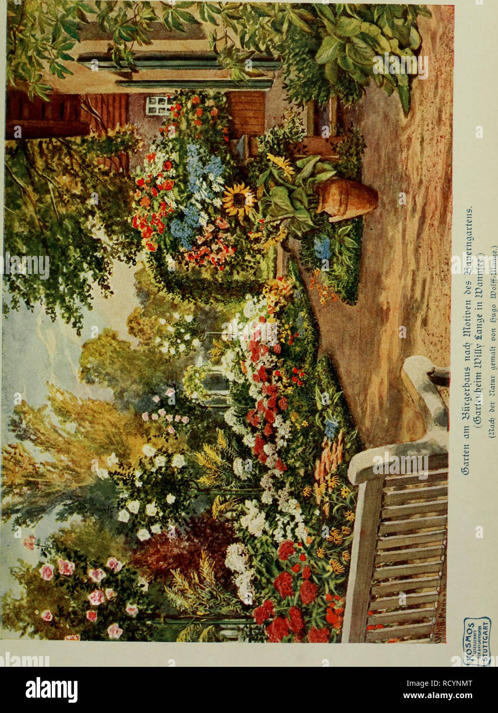 . Das Leben der Pflanze. Piante; piante; piante; Phytogeography. . Si prega di notare che queste immagini vengono estratte dalla pagina sottoposta a scansione di immagini che possono essere state migliorate digitalmente per la leggibilità - Colorazione e aspetto di queste illustrazioni potrebbero non perfettamente assomigliano al lavoro originale. Francé, R. H. (Raoul Heinrich), 1874-1943; Gothan, Walther Ulrich Eduard Friedrich, 1879-1954; Lange, Willy, 1864-. Stoccarda, Kosmos, Gesellschaft der Naturfreunde Foto Stock