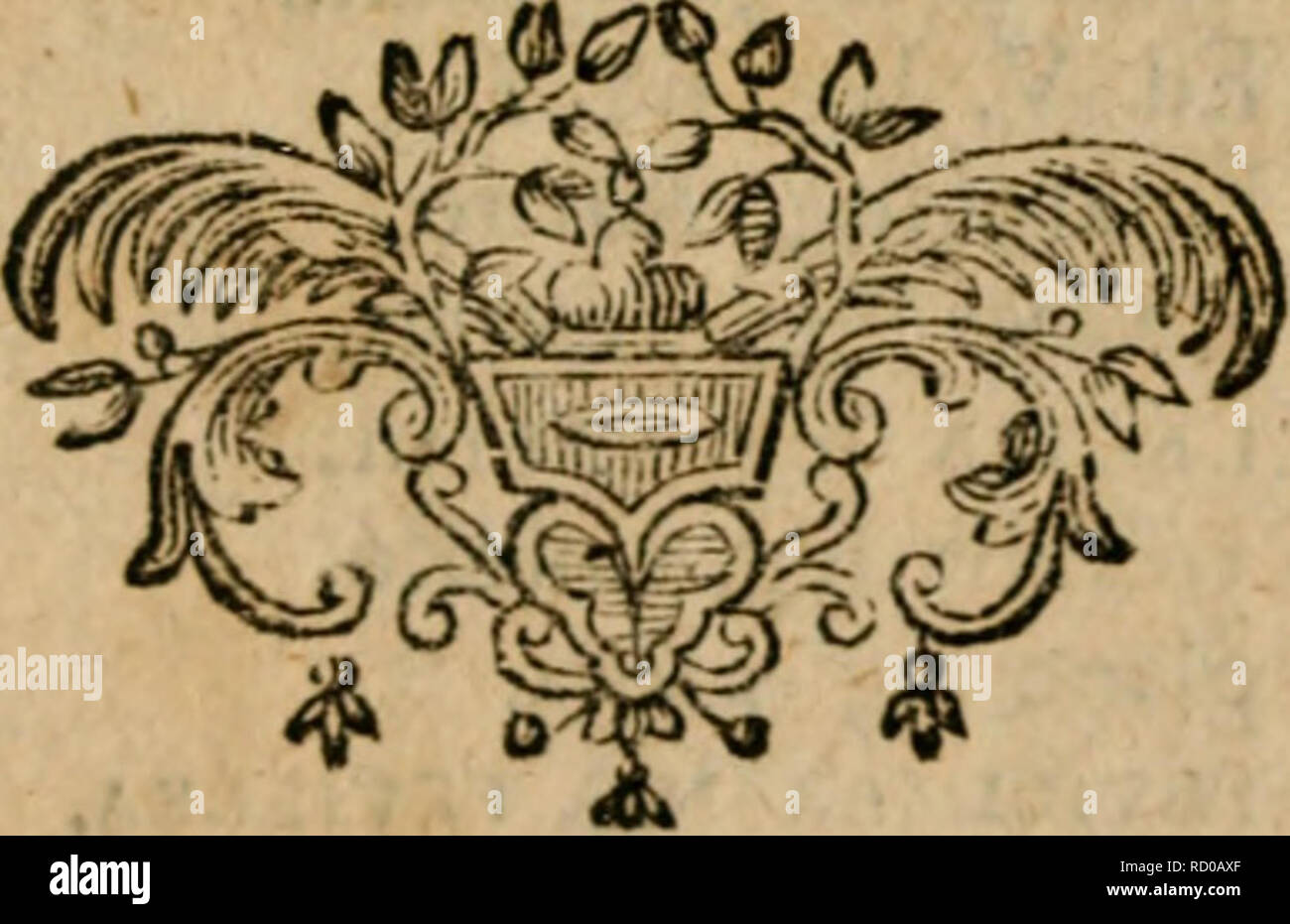 . D. Christiani Gottlieb Ludwig ... Definitiones generum plantarum : olim in usum " auditorum collectas nunc auctas et emendatas. Impianti -- classificazione. I N D E X. Xanthium Tourn. et Linn. iogo Xerantbemoides aneto. 420 Xeranthemum Tourn. Vaill. et Linn. 420 Ximenia Prugna. et Linn. 1279 Xipbinn Tourn. 262 Xylaria Hill. 1244 Italianwoodtech Tourn. 215 Xyfon Linn. 689 Xylopia Linn. 92*3 Xylopicrum marrone. 923 Xylofleum Tourn. 368 Xyris Linn. 487 XyrisC.B. 262 &gt;. Yerua mora Ludw. 977 Yuca Pont. 165 Yucca Boerh. et Linn. 165 Zannlchellia Mich et Linn. 1134- Zanonia Linn. 1138 Zam.nia P/Ttm. 489 Z.inrhoxyl Foto Stock