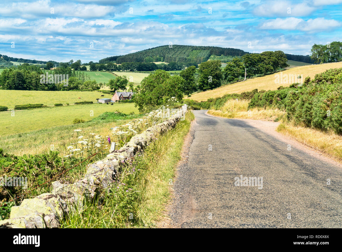 Scenario delle frontiere, agricoltura, vicino a Scott, vicino a Melrose, regione di frontiere, Scotland, Regno Unito. Foto Stock