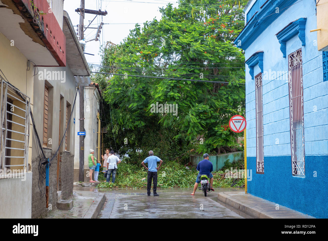 Santa Clara, Cuba, settembre 10, 2017: Alberi a terra bloccando la strada per guardare la gente ed il prelievo dei danni di Irma uragano Foto Stock