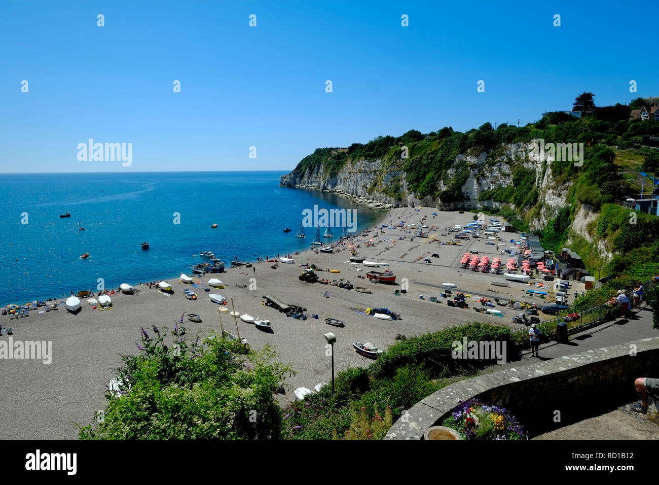 Vista sulla spiaggia di Beer, patrimonio dell'umanità dell'UNESCO, Devon orientale. REGNO UNITO Foto Stock