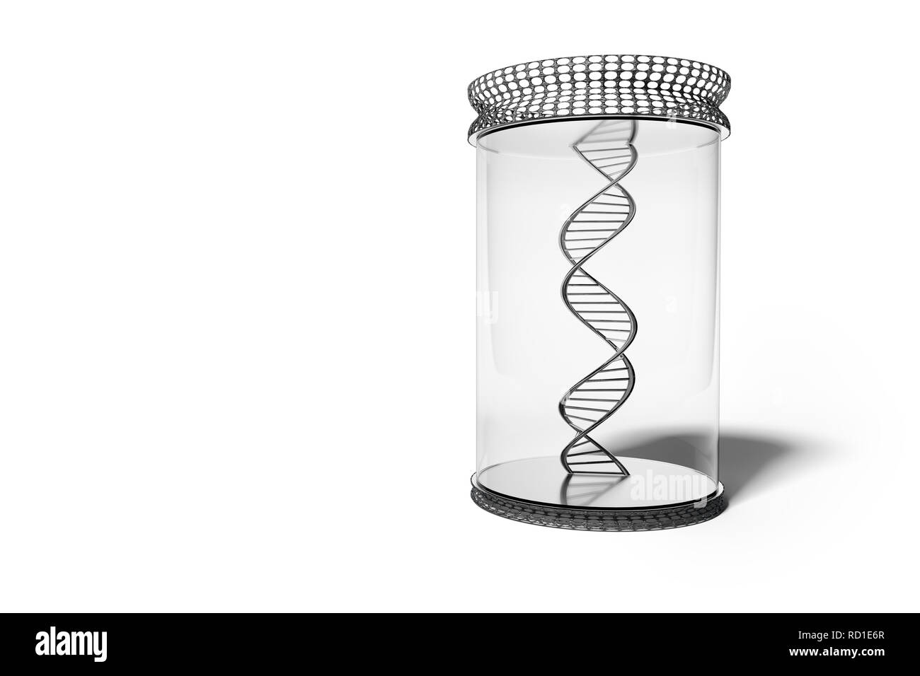 La doppia elica del DNA in show-caso su supporto, sfondo bianco Foto Stock