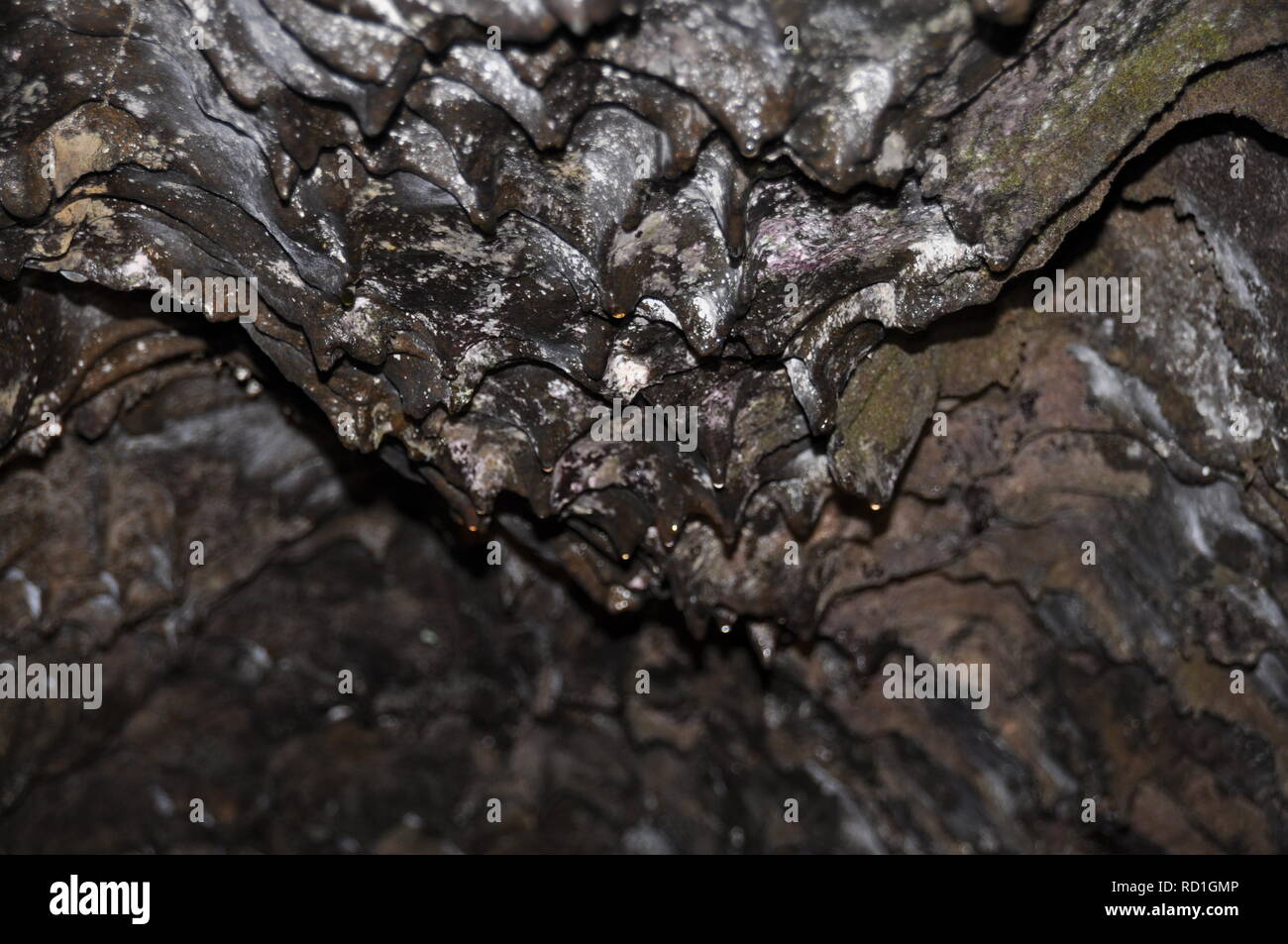 Tropfsteinhöhle in Portogallo Foto Stock