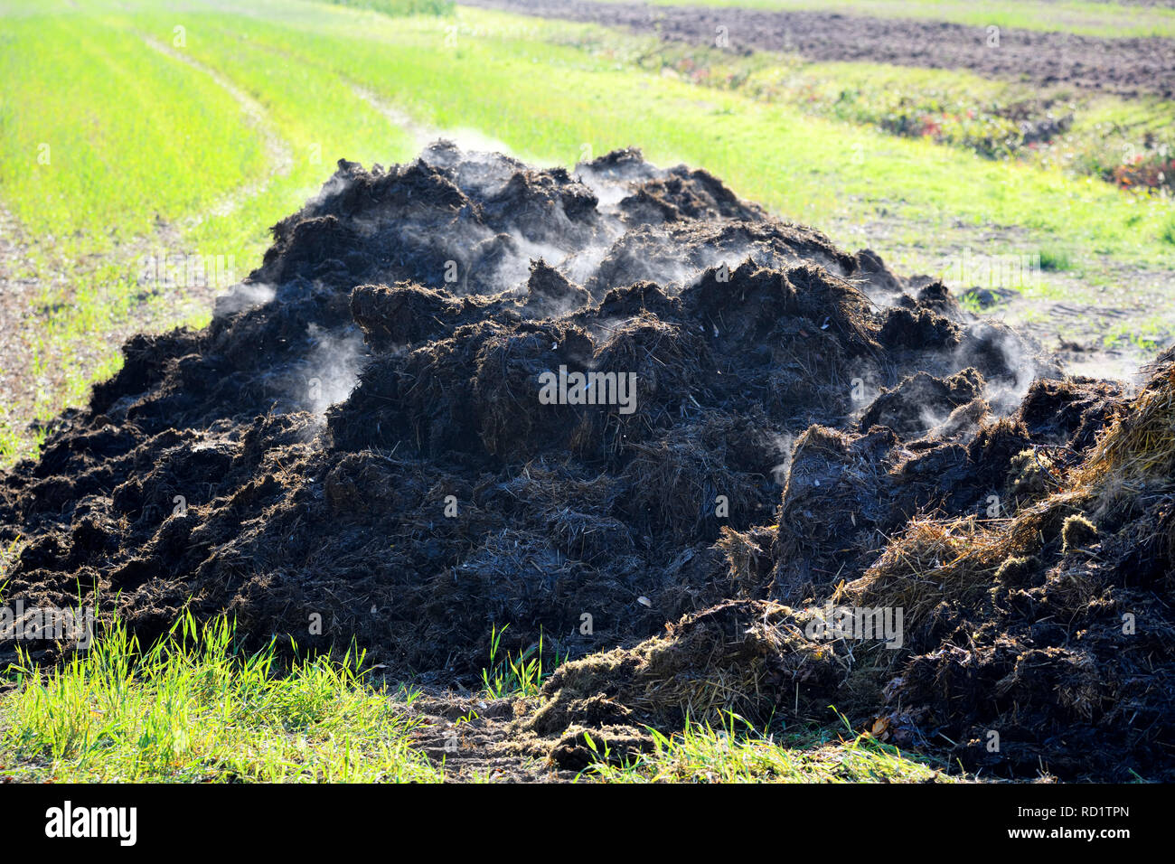 Dunghills su un campo ad Amburgo, Germania, Misthaufen auf einem Feld di Amburgo, Deutschland Foto Stock