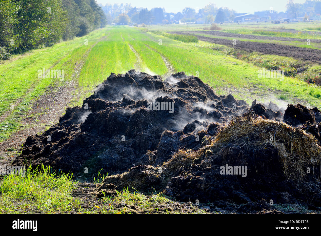 Dunghills su un campo ad Amburgo, Germania, Misthaufen auf einem Feld di Amburgo, Deutschland Foto Stock