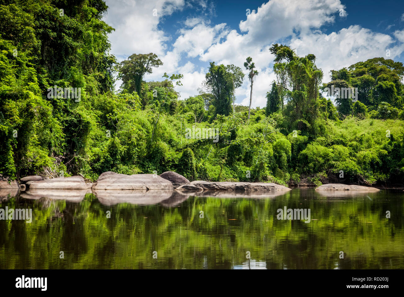 Vista sul fiume Suriname nella parte superiore del Suriname, Awarradam giungla campo Foto Stock