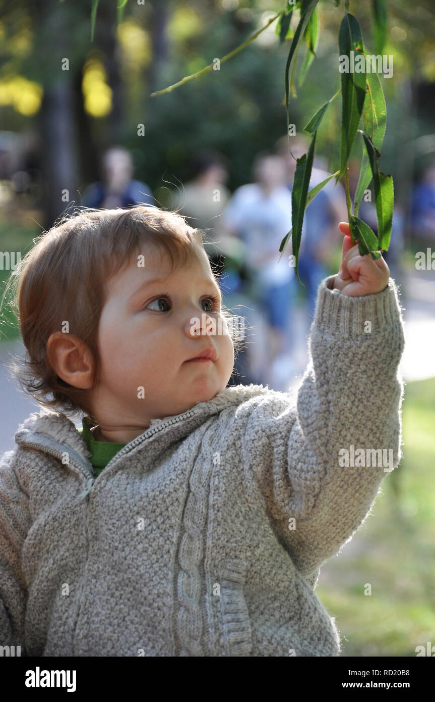 Ritratto ofa simpatico baby in maglione grigio toccando il ramo verde di salice, il fuoco selettivo Foto Stock