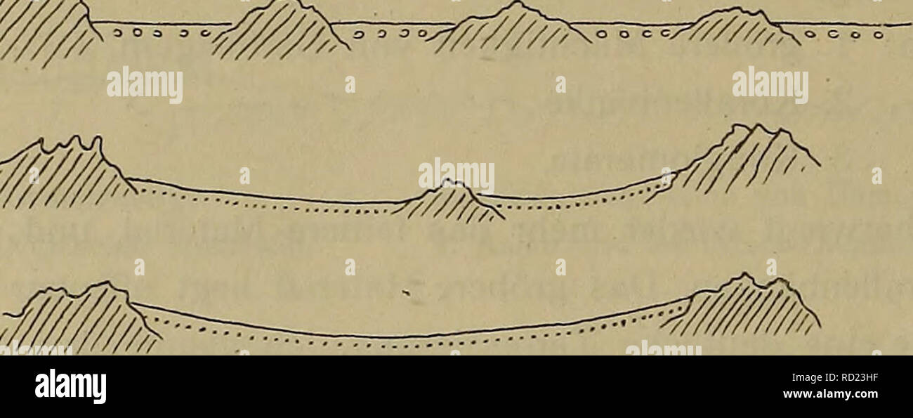 . Denkschriften - Ãsterreichische Akademie der Wissenschaften. . "Â ^?Ã-^._,Ã. Arte schwacher Faltenwellen mit Streichen NâS. Die GewÃ aufgebrochenen¶lbe blicken gegen Westen. Es lassen sich 3 Abteilungen unterscheiden: zu Oberst auf dem Gebirge Schotter, darunter koralligene Kalke, unten Sande und Schotter. Fossilien sind in einzelnen Lagen zahlreich. Es sind Steinkerne und Recht schlecht erhalten. Das wenige materiale, das ich sammelte, ist infolge der schlechten Erhaltung fÃ¼r eine Bestimmung nicht geeignet. Die folgenden profilo geben die Zusammensetzung und den Bau dieser Bildungen wieder. Foto Stock