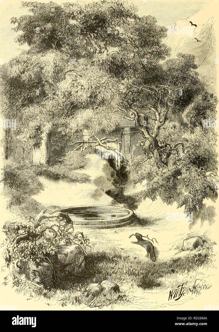 . De Dierentuin van het Koninklijk Zoologisch Genootschap Natura Artis Magistra te Amsterdam. I giardini zoologici; uccelli. HET BEVERPARK.. Si prega di notare che queste immagini vengono estratte dalla pagina sottoposta a scansione di immagini che possono essere state migliorate digitalmente per la leggibilità - Colorazione e aspetto di queste illustrazioni potrebbero non perfettamente assomigliano al lavoro originale. Schlegel, H. (Hermann), 1804-1884; Witkamp, Pieter Harme, 1816-1892; Es, Gerard W. H. van. Amsterdam : Van Es. Foto Stock