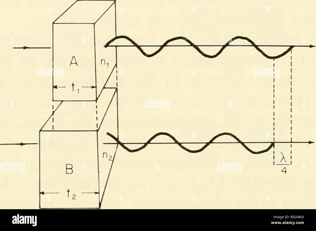 . La citologia. La citologia. indice (11-2) che attraverso una regione di indice di rifrazione inferiore (IH). Come risultato la luce trasmessa dal B è ritardata in velocità rispetto a quella trasmessa da una ed esce fuori fase rispetto a quella emergente dalla regione a basso indice di rifrazione. Quando il differiscono- ence in indice di rifrazione è piccolo, la grandezza della variazione di fase indotta è anche piccole ed è misurata in lunghezze d'onda (^). In figura 11-10, il raggio di luce trasmessa dalla regione B è mostrato ritardata V4 wave- lunghezza (- ) dietro quella trasmessa dalla regione A. Il microscopio a contrasto di fase si trasforma s Foto Stock
