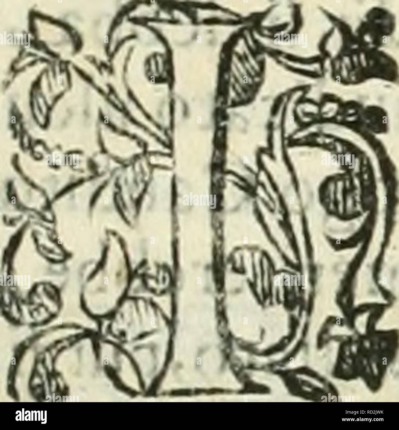 . Dell'elisir vitÃ¦. Elisir di vita; distillazione e Alchemy; piante medicinali; medicina; Workshop ricette. Di Fra Donato Eremita Lib. IV.   Â 117 T E R E B I N T I N A. Â§&amp;IMÃS3Â§ O N molto diflimile al L entifco , onde la gomma, o liquore wjw J  'Kjw detro Lentifcina fcaturifce, Ã¨ il Terebinto , onde prodotta., Jfe [^ S^u ne vien la Terebintina non gli uomini alla faffofa saudita &gt; che alla u||Ã | Giudea, &AMP; alla Soria, &AMP; aH'Ifola di Cipro, &AMP; alla Libia, oue ^^ÃV2^Â"S in grande abbondanza fi ritroua,conofciiita. Ha ella, dice Diofcoride lib. 1. cap.75. Venite a tutte le altre, regie vir Foto Stock