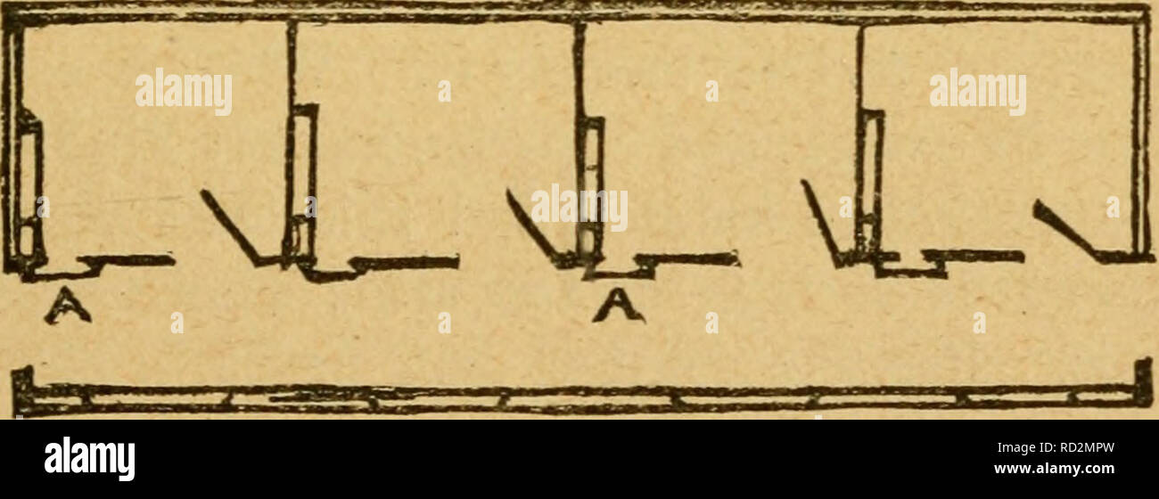 . Il casaro il manuale : un pratico sul trattato della latteria, inclusa la selezione dell'azienda. La produzione di latte. Allevamento di vitelli per la latteria. 187 abbastanza ta iniziare gradualmente aumentata fino a una tabella- cucchiaio quotidianamente a due mesi, quattro once daily a tre mesi, otto once quotidianamente a cinque mesi e un cancelletto a sei mesi. Da tre mesi fino a sei litri di latte due volte al giorno può essere dato e a un mese fa i vitelli dovrebbero avere una corsa in un pascolo di erba di un quarto di acro o così, racchiuso purposelywith recinzione portatile, che viene spostato per dare erba fresca come può essere richiesto. A due mesi t Foto Stock