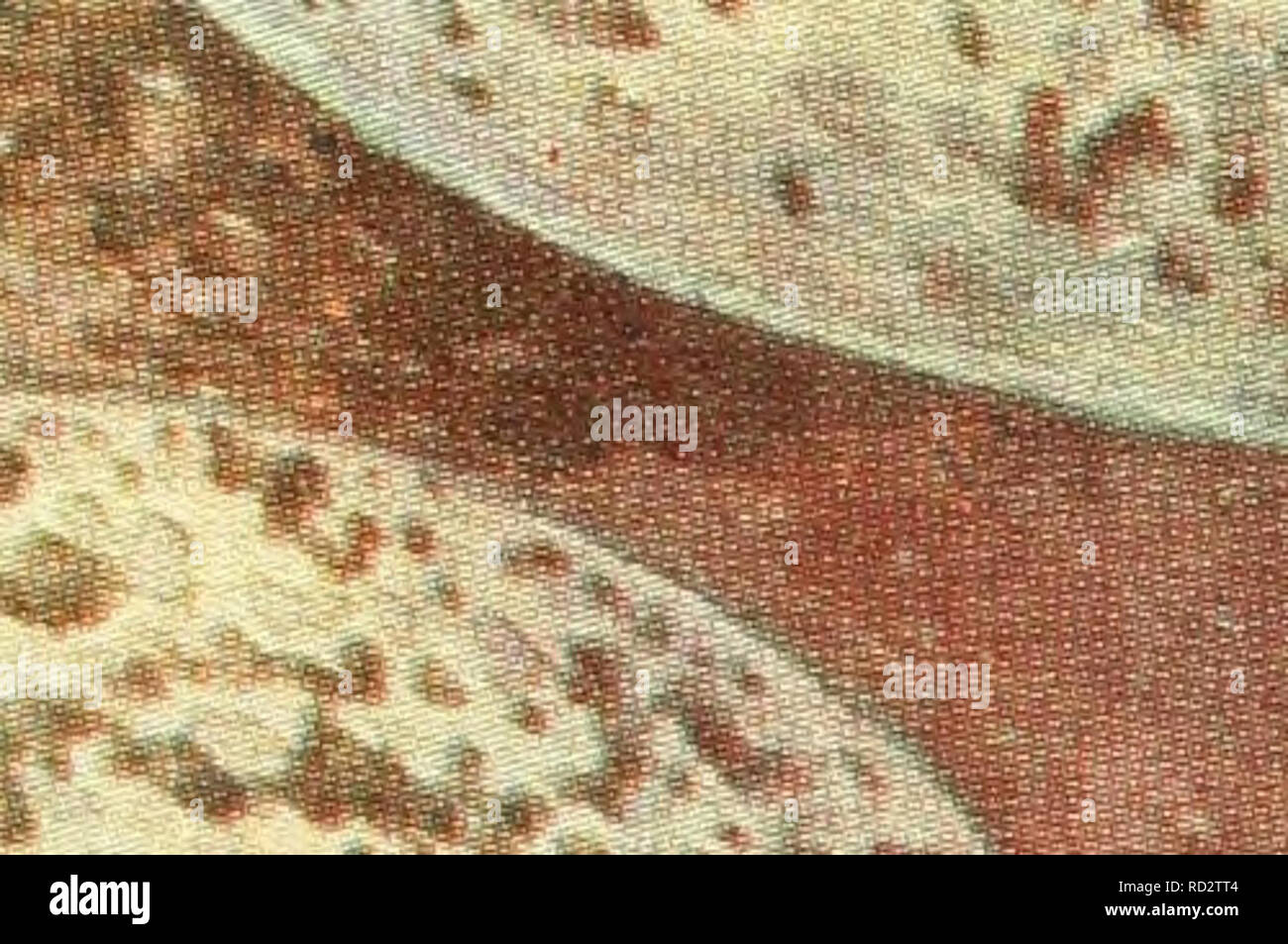 . . . Si prega di notare che queste immagini vengono estratte dalla pagina sottoposta a scansione di immagini che possono essere state migliorate digitalmente per la leggibilità - Colorazione e aspetto di queste illustrazioni potrebbero non perfettamente assomigliano al lavoro originale. Foto Stock