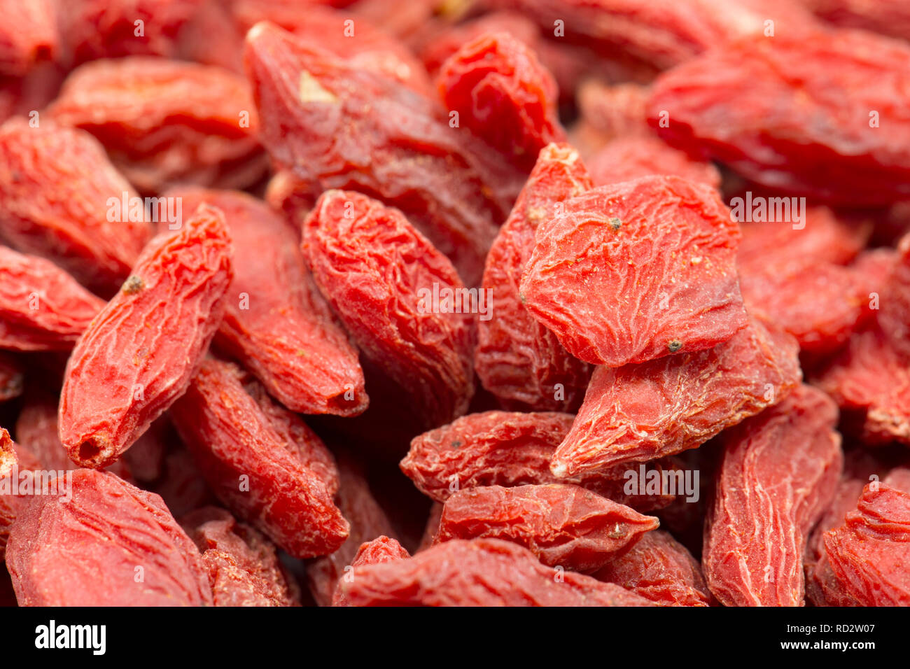 Una chiusura del essiccati Goji bacche acquistato da un supermercato nel Regno Unito e fotografati in studio. Il Dorset England Regno Unito GB Foto Stock