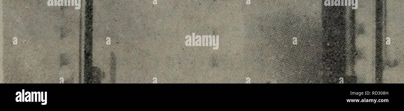 . Dan bai zhi de ning jiao dian yong Shi Jian fang fa. botanica. Å¾11 å¯å·å'çåç'ae¿è¶çµae³³ä"ªãaeå±ç¤ºçåå·ç³"ç±Bio-Rad Laboratories Ltdçäº§çProtean Cellå (ç±Hoefer Scientific Instrumentså¶é ï¼ãå¯ä"¥ååçµae³³ä'¤åae¿è¶ãae¯åae¿è¶ae¯ã¨ä'¤ååaeªå¼ae§½çç"ç ae¿ï¼16,0 cmXl8.0cmX0.3cm)ä¹é'å½¢ae,ç"çae¿ä¹é"ç¨å0,075, 0,15 0.3ae0.6 cmçèä¹ç¦ç¢³é 'é (PVC)ä½å"ççå¼,å¡¾çae¾ç½®å¨ä'¤åç"çae¿ä¹é'åç'ae¹åçä'¤è¾¹,å¹¶ç¨å¡aeå¤¹å¤¹ä½ãå¤¹å±åºé¨ç¨åå¨ç¥·å½¢ ae¶ç¡ è±"è¶å¡¾çåºé¨çèç¢³é 'éå'è½®å¯å°,å¦ä'å¾å·¦ä¾§aeç¤ºãåè¶ae³¨å ¥åä" Å¤¶èå,ae ·åae± çå½¢aeåå ae ·å¦ ae-£ aeaeè¿°ãä"ç¥·å½¢ae¶ä'åä'ae¿è¶Å¤¹å±ï¼ç¨ç'åçå'è½®ç³"ç"å °å ¶ç""ç'§åºå®å¨ä'è'®ae¶²ae§½å¦ä'aeae¨è¶å"çä'ãä'ã Foto Stock