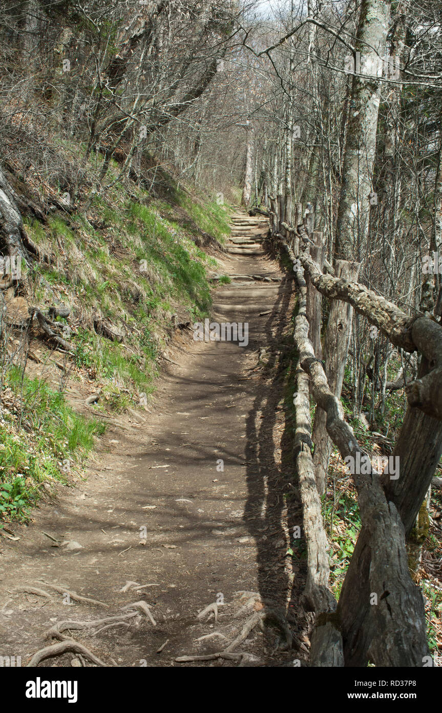 Appalachian Trail a Gap ritrovata, Great Smoky Mountains National Park, il confine della NC e TN. Fotografia digitale Foto Stock