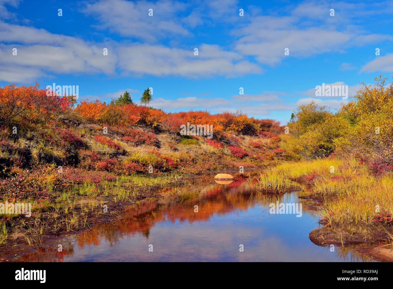 Litorale sabbioso di Ennadai Lake in autunno, Arctic Haven Lodge, Ennadai Lake, Nunavut, Canada Foto Stock