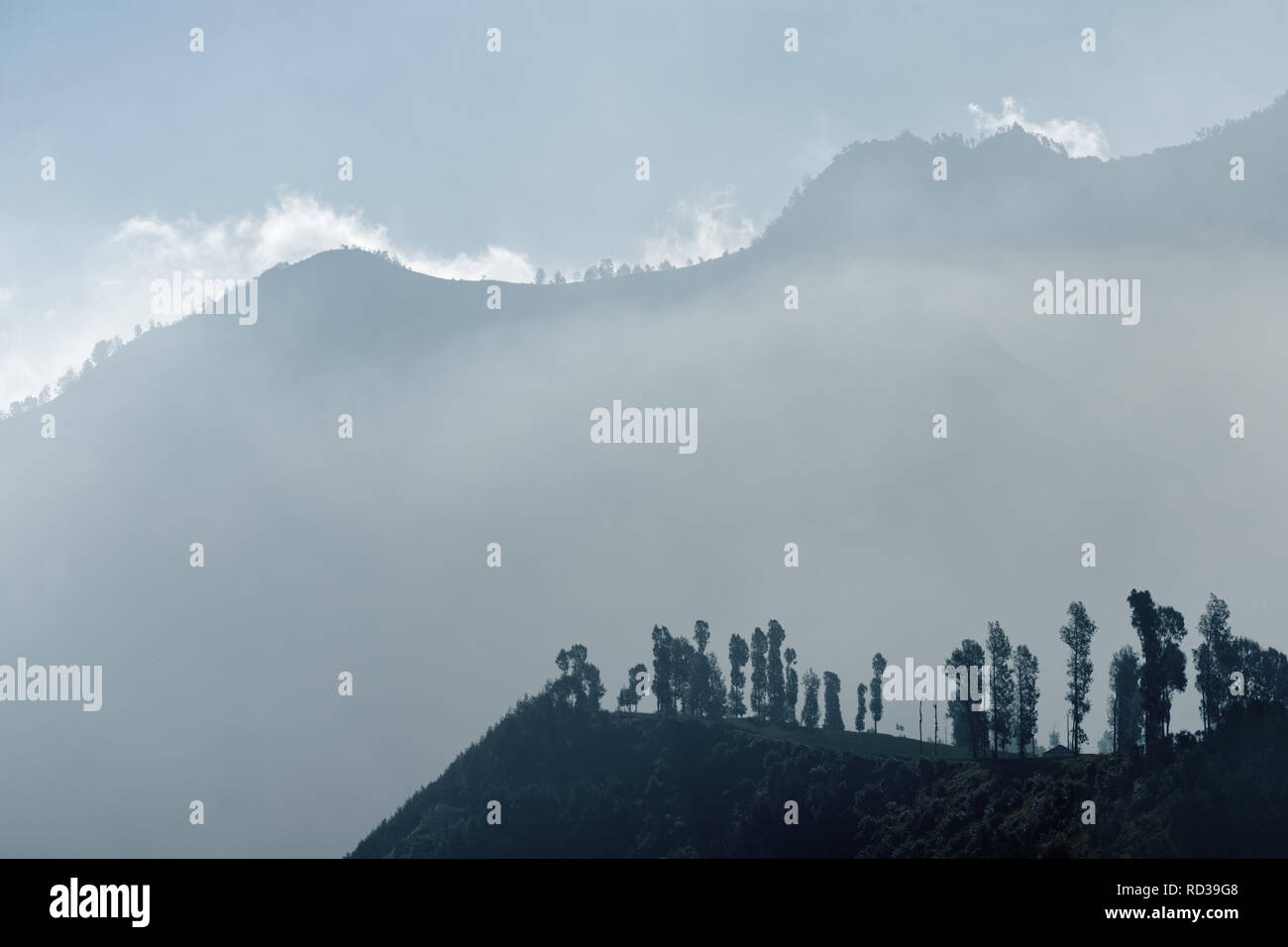 Nella prima luce del mattino in una vista di una catena di montagna circondato da nuvole e nebbia - Posizione: Indonesia, Java, Mt. Bromo Foto Stock