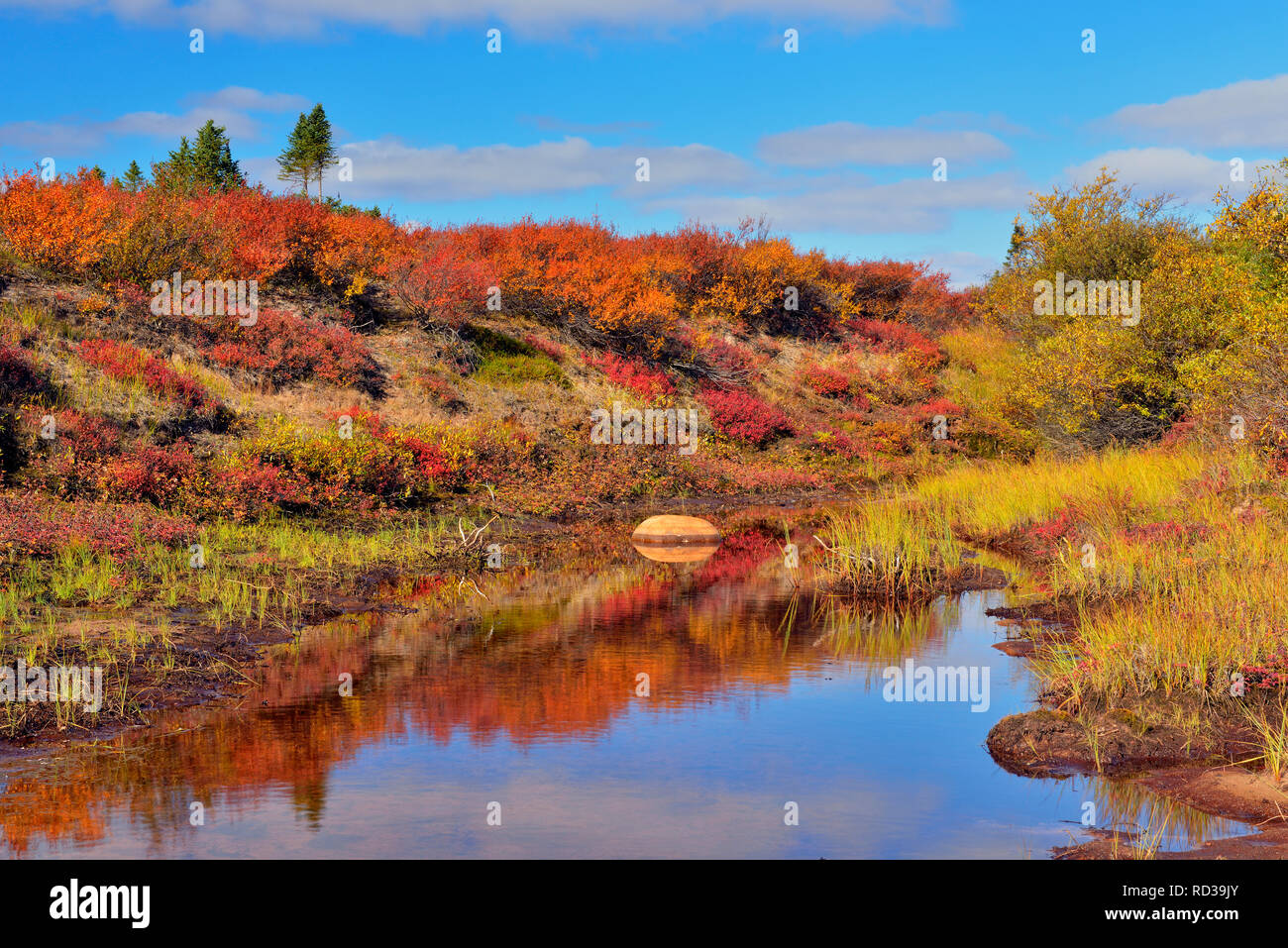 Litorale sabbioso di Ennadai Lake in autunno, Arctic Haven Lodge, Ennadai Lake, Nunavut, Canada Foto Stock