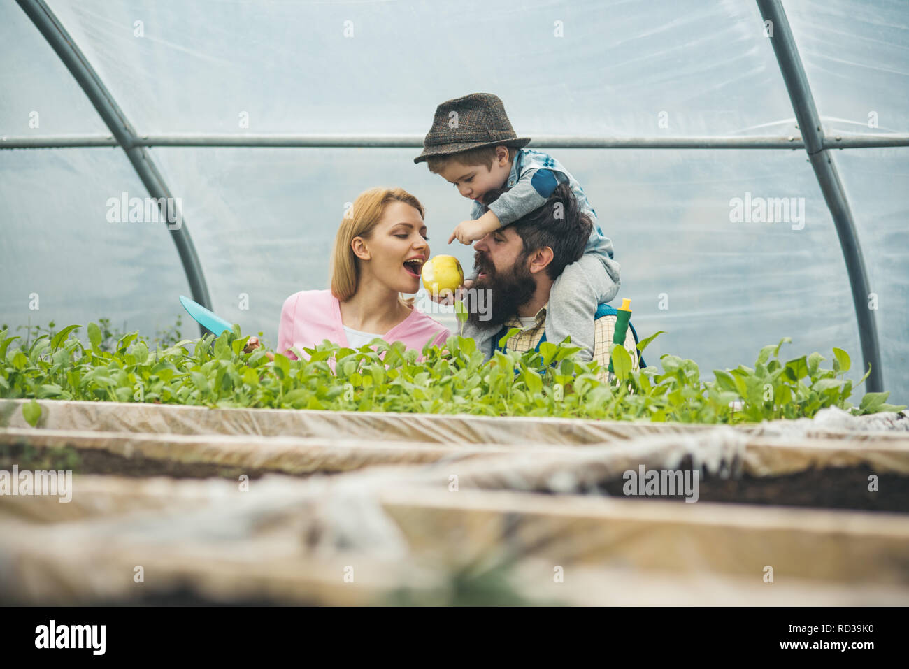 Concetto di carbonio carbonio aiuta la crescita della pianta. carbon agricoltura. terreno feed sul carbonio. Tutto cresce con amore. Foto Stock