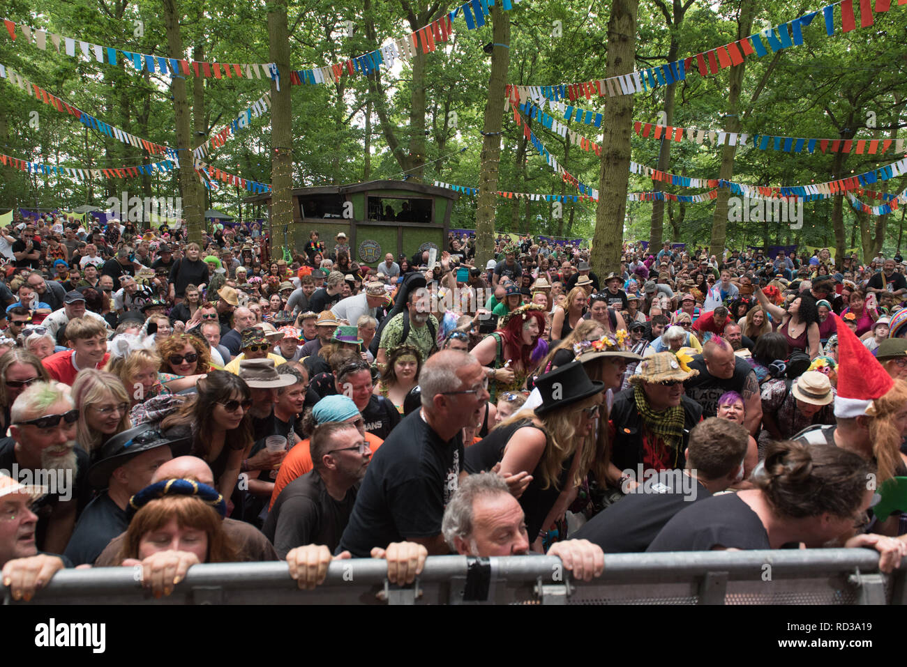La folla a guardare una banda a barbuto teoria music festival Foto Stock
