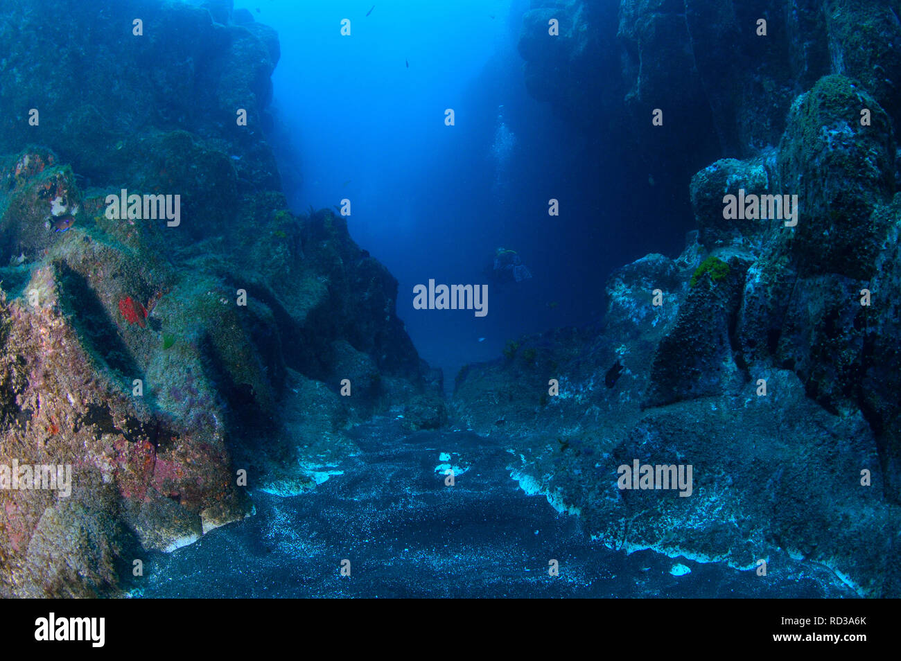 Scuba Diving n Tenerife - Isole Canarie Foto Stock
