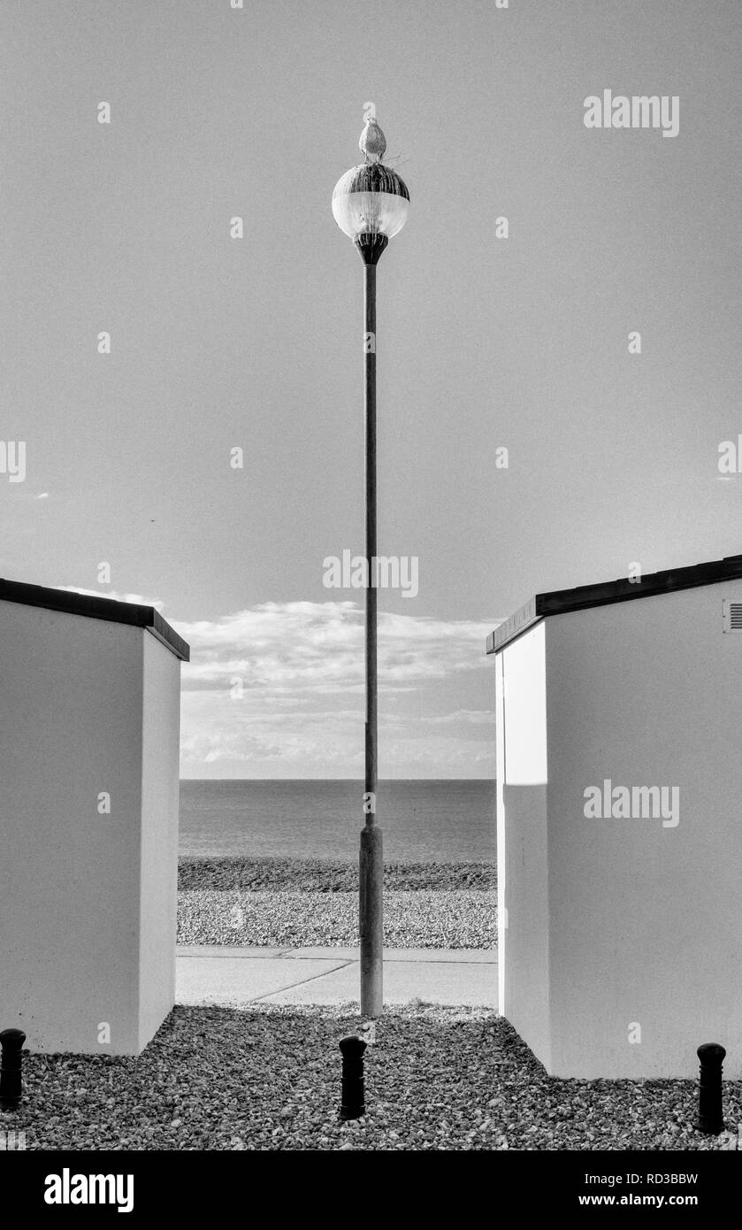 Aringa gabbiano su lampost tra cabine sulla spiaggia, Foto Stock