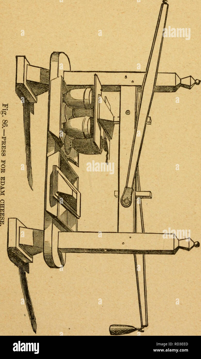 . Il casaro il manuale : un pratico sul trattato della latteria, inclusa la selezione dell'azienda. La produzione di latte. Formaggio MAKlJ^a. 377 mani negli stampi, come illustrato in figura 85. In questo processo l'operaio riempie ogni mano con ricotta e lo preme insieme, riducendolo ad una torta morbida, che egli. getta con forza nella parte inferiore dello stampo. Egli ripete questo processo fino a quando lo stampo viene riempito quando la massa di cagliata viene premuto insieme ed estratta, e re-. Si prega di notare che queste immagini vengono estratte dalla pagina sottoposta a scansione di immagini che possono essere state migliorate digitalmente per la leggibilità - colorazione e vengono visualizzati Foto Stock