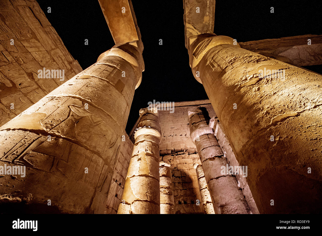 Colonne antiche al tempio di Luxor illuminato di notte Foto Stock