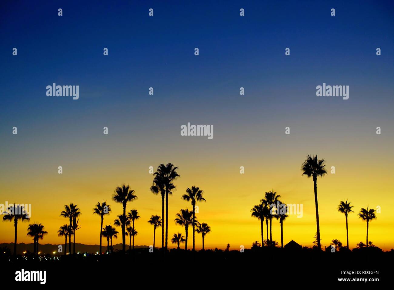 Bellissimo tramonto esotico con palme in background in Marrakech, Marocco Foto Stock