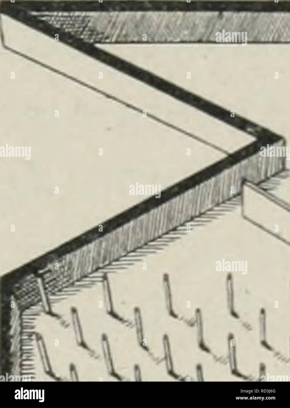 . Das Werden der Organismen; zur Widerlegung von Darwin's Zufallstheorie durch das Gesetz in der Entwicklung von Oscar Hertwig. Evoluzione; la vita (biologia). Die Variabilität der Organismen. 323. Si prega di notare che queste immagini vengono estratte dalla pagina sottoposta a scansione di immagini che possono essere state migliorate digitalmente per la leggibilità - Colorazione e aspetto di queste illustrazioni potrebbero non perfettamente assomigliano al lavoro originale. Hertwig, Oscar, 1849-1922. Jena G. Fischer Foto Stock