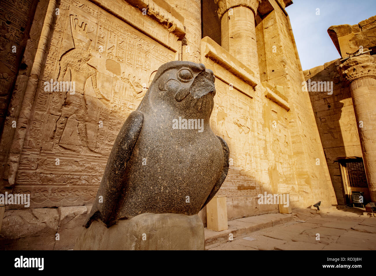 Dio Horus presso il Tempio di Edfu in Egitto Foto Stock