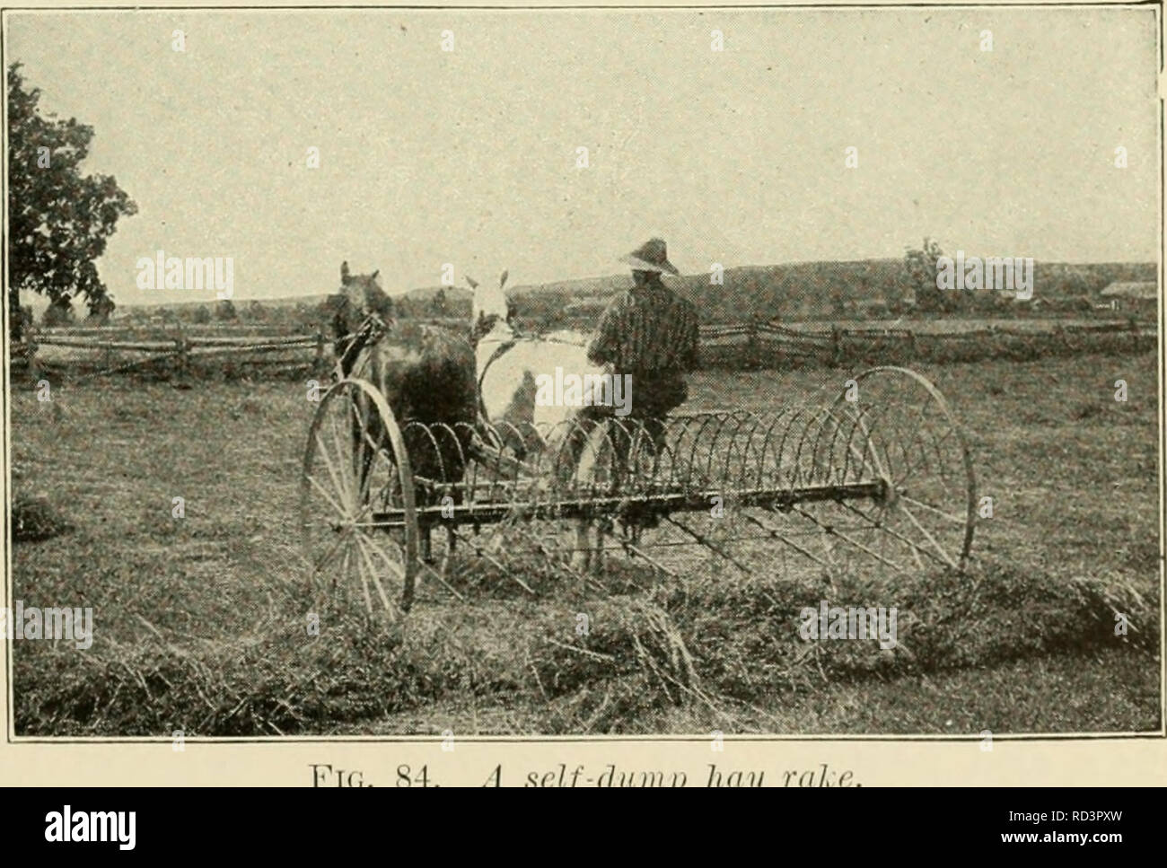 . Agricoltura elementari. L'agricoltura. Il fieno CEOP 159 girato con l'aratro presentano guadagni nelle colture che seguono, a causa della quantità extra di azoto a sinistra dietro. Il trifoglio rende un ideale il fieno per il bestiame e la posizione in cui è sollevata, si dovrebbe fare fino a metà o più della crusca di le mucche da latte. Gli ovini e i giovani stock per rendere eccellente la crescita su fieno trifoglio o il pascolo di trifoglio. Come ottenere un cavalletto. Dove il suolo è stato consumato da molti raccolti viene prelevato e nessun alimento vegetale o humus rimettere, trifoglio rosso non crescono spesso. Al fine di portare tale terra, un cappotto pesante di un fienile- concime di cantiere aiuterà a t Foto Stock