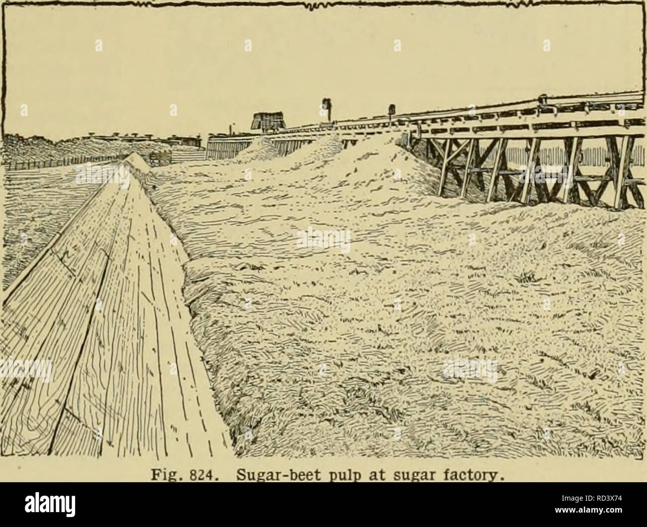 . Dell'enciclopedia delle colture di fattoria. La produzione agricola; l'agricoltura. Barbabietola da zucchero Barbabietole da zucchero 597 ha dimostrato che a meno che non venga aggiunto e il succo poi trattata secondo le regole prestabilite, la resa finale di zucchero è influenzato sia per quanto riguarda il colore e la quantità. L'effetto della calce sul sugo greggio sia meccanico e chimico. Meccanicamente, esso cancella il succo facendo in modo che quelle particelle trattenute in sus- pension per risolvere con il precipitato. In azione chimica, la calce ha il potere di decom- pongono la non-zuccheri, neutralizzando gli acidi liberi ed i sali di acidi, la formazione di sali insolubili con l'acido ossalico e fosf Foto Stock