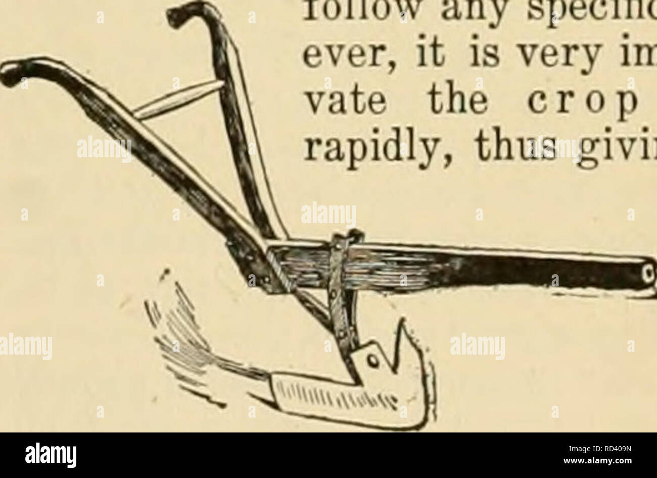 . Dell'enciclopedia delle colture di fattoria. La produzione agricola; l'agricoltura. 250 COTONE concimi di aia anche servire a uno scopo importante nel migliorare le terre di cotone. Essi forniscono una piccola quantità di piante alimentari e di una notevole quantità di sostanza organica che apre il terreno e im- dimostra la sua condizione meccanica. Essi sono anche suppo.^ed ad agire sui componenti del terreno in un modo chimico, convertendo la pianta-cibo in una condizione disponibile per l'uso di piante. Probabilmente uno dei più economici e più efficace strumento di miglioramento del suolo, è la rotazione delle colture. Il cotone sarebbe mai esaurire la terra se washin Foto Stock . Dell'enciclopedia delle colture di fattoria. La produzione agricola; l'agricoltura. 250 COTONE concimi di aia anche servire a uno scopo importante nel migliorare le terre di cotone. Essi forniscono una piccola quantità di piante alimentari e di una notevole quantità di sostanza organica che apre il terreno e im- dimostra la sua condizione meccanica. Essi sono anche suppo.^ed ad agire sui componenti del terreno in un modo chimico, convertendo la pianta-cibo in una condizione disponibile per l'uso di piante. Probabilmente uno dei più economici e più efficace strumento di miglioramento del suolo, è la rotazione delle colture. Il cotone sarebbe mai esaurire la terra se washin Foto Stock