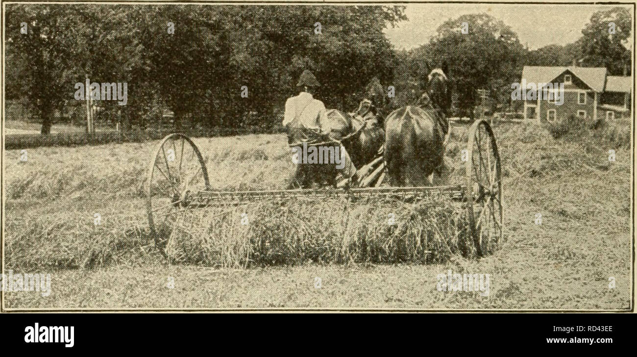 . Agricoltura elementari. L'agricoltura. 148 ELEMENTAKY AGRICOLTURA raccolto è spesso tagliata per le sementi. Al fine di ottenere il miglior fieno trifoglio dovrebbero essere raccolte solo dopo che esso ha. Fig. 79. Un dump di mano rake. Venite a pieno fiore. Il taglio del fieno più tardi non è così buona. Attenta manipolazione. Nel raccogliere il raccolto di trifoglio, dovrebbe raggiungere il granaio o stack con il minimo di manipolazione e di esposizione. Se è permesso di diventare troppo secca nella manipolazione, le foglie si sbriciolerà e cadere, e sono la parte migliore del fieno. Indurimento fieno trifoglio. Fieno trifoglio dovrebbe essere ben curate al sole o riscalderà e rovinare nella pila o Foto Stock