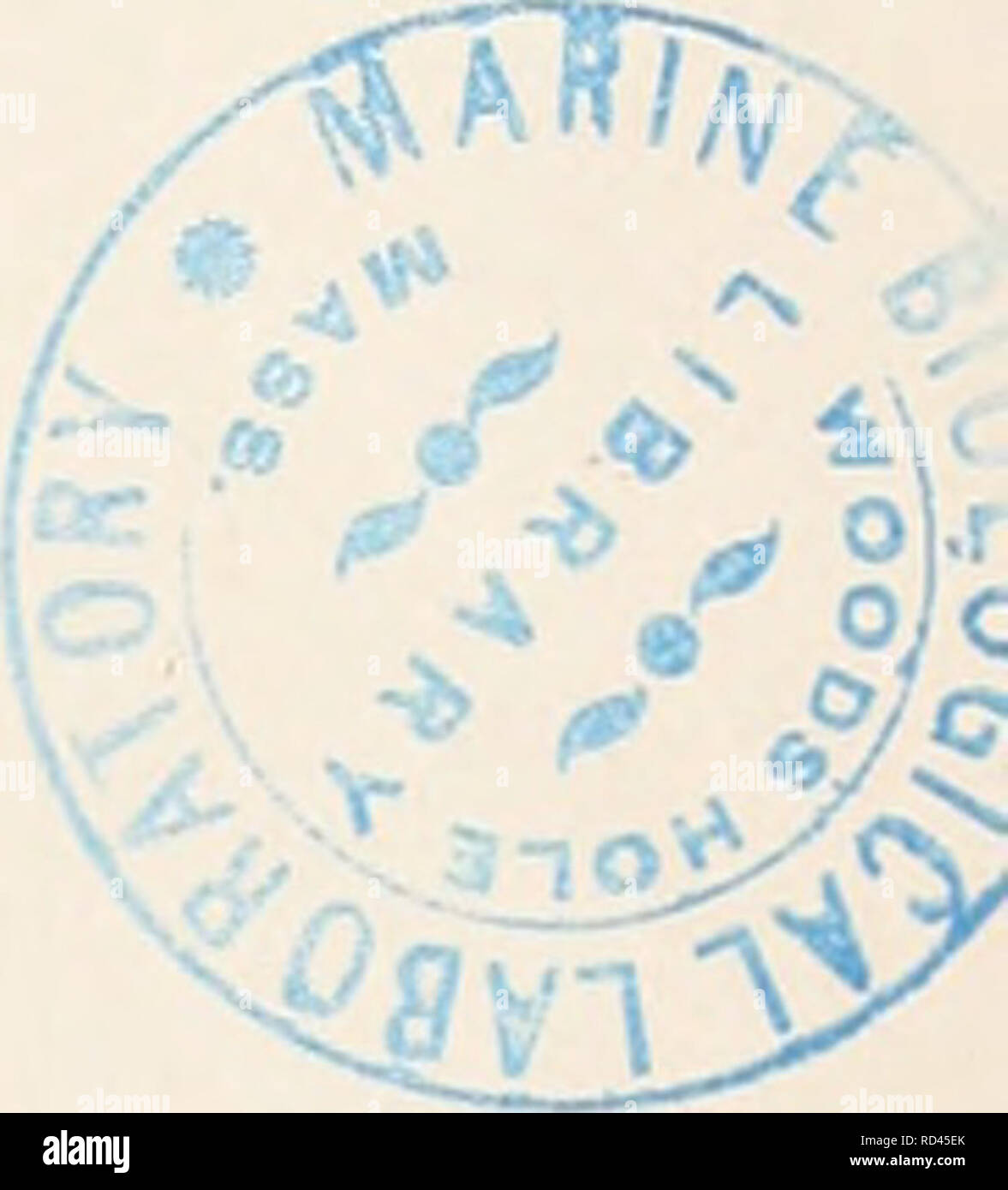 . Il danese Ingolf-Expedition. Spedizioni scientifiche; Oceano Artico. Il INGOLF-Expedition 1895- [896. La località, profondità e BOTTOMTEMPERATURES DELLE STAZIONI. Profondità profondità profondità Station No. I.A. N. lungo.W. in danese braccia fondo- temp. Stazione n. I.A. N. lungo.W. in danese braccia fondo- temp. Stazione n. Lat X. lungo.W. in danese braccia fondo- temp. ho 62Â° 30' 8Â° 21' 132 ,, 24 63Â° 06' 560 00' 1199 2Â°4 45 61Â° 32 9Â° 43' 643 4Â° 17 2 63-04' 9Â° 22' 262 5 3 25 63Â° 30' 54Â° 25' 582 3Â°3 46 6lÂ° 2' 11Â° 36' 72" 2-40 3 &amp;30 35' 10Â° 24' 272 0 5 63Â° 51' 53Â° â &gt;;" "36 Foto Stock