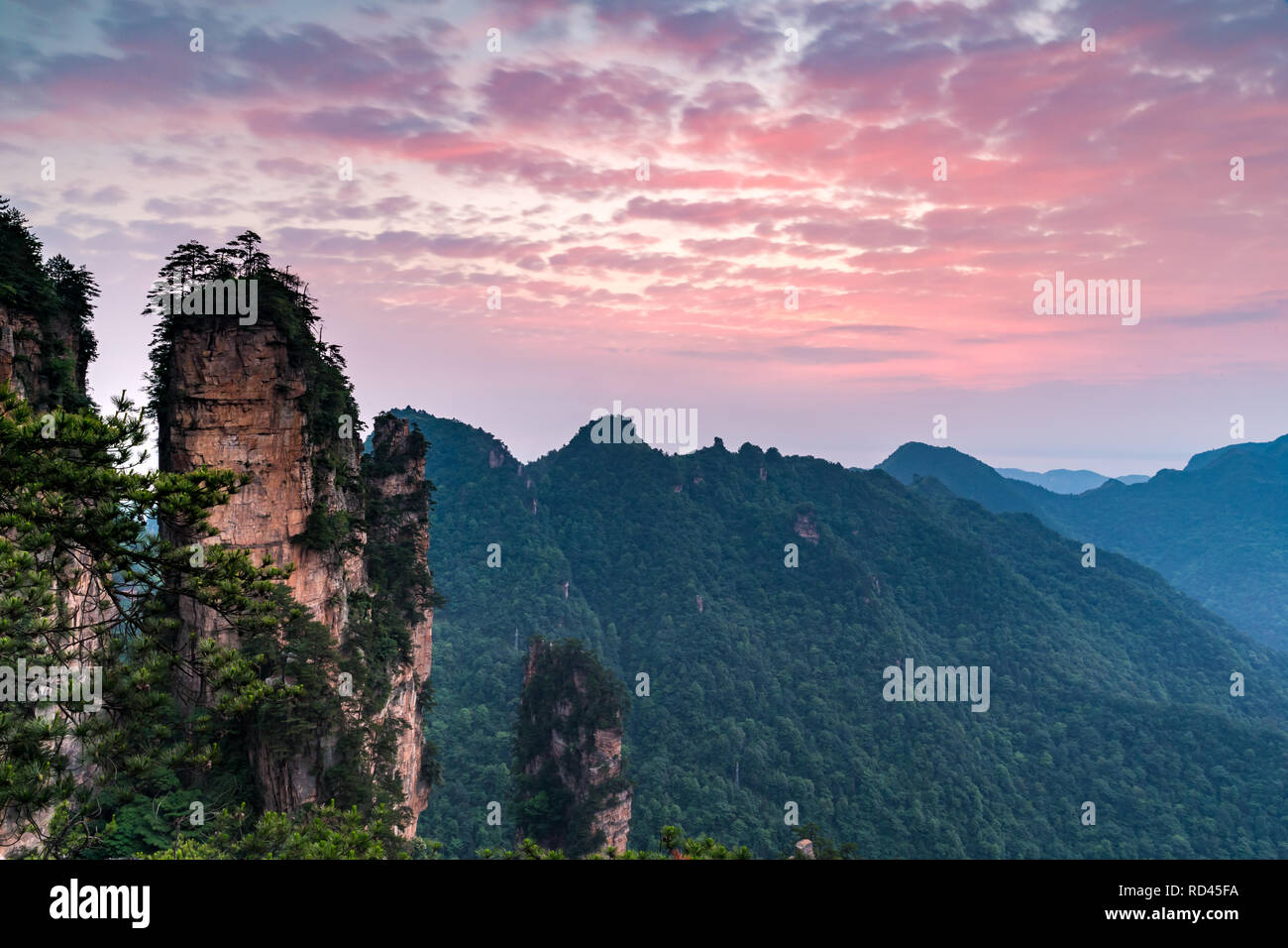 Sunrise paesaggio montano di Zhangjiajie national park, Cina Foto Stock