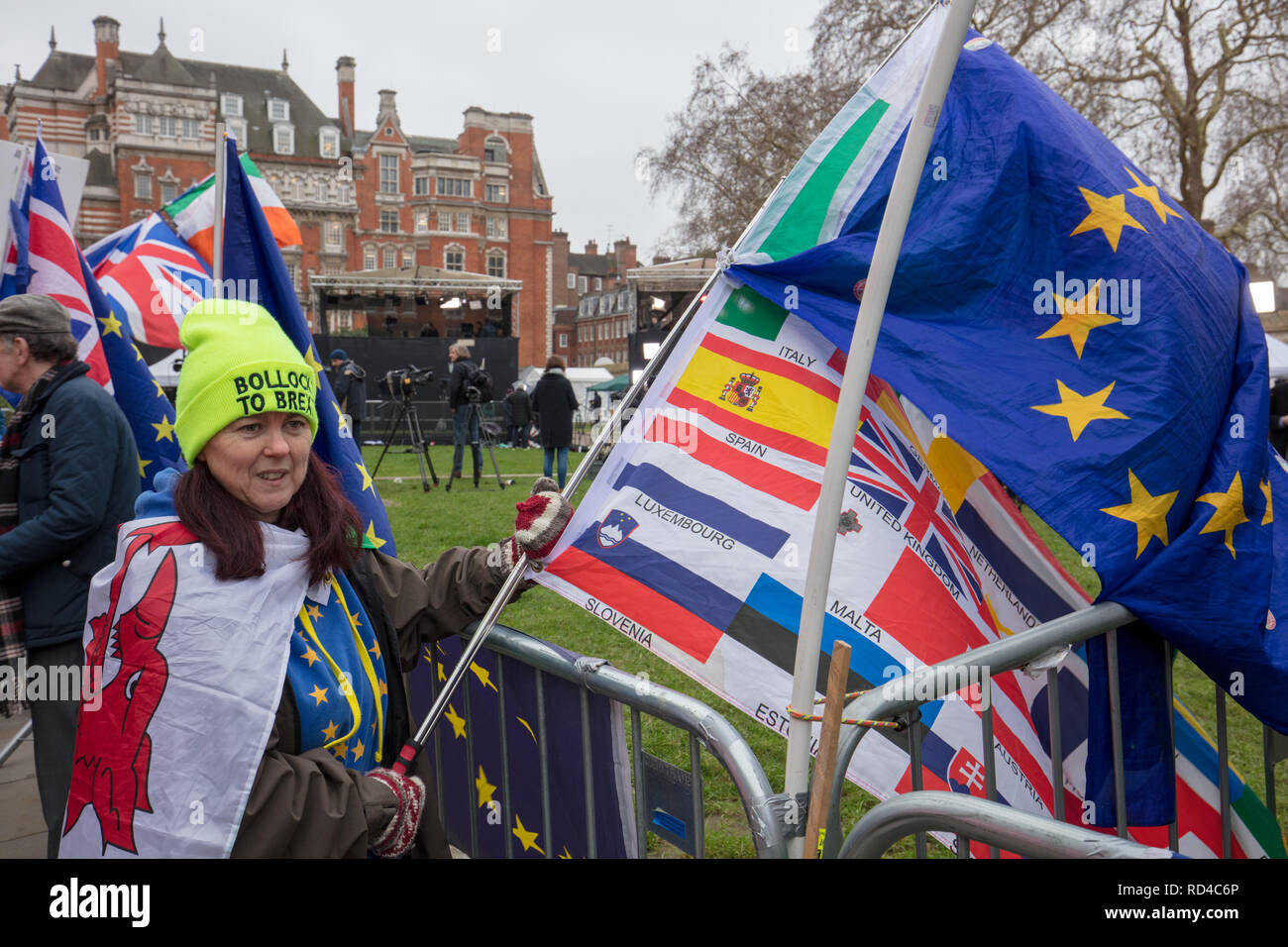 Londra, Regno Unito. Gennaio 16th, 2019. Anita Harris dal Galles, è venuto a Londra per due giorni, battenti bandiere europee vicino alla Casa del Parlamento a sostegno di quelle rimanenti nella UE. Credito: Joe Kuis / Alamy Live News Foto Stock