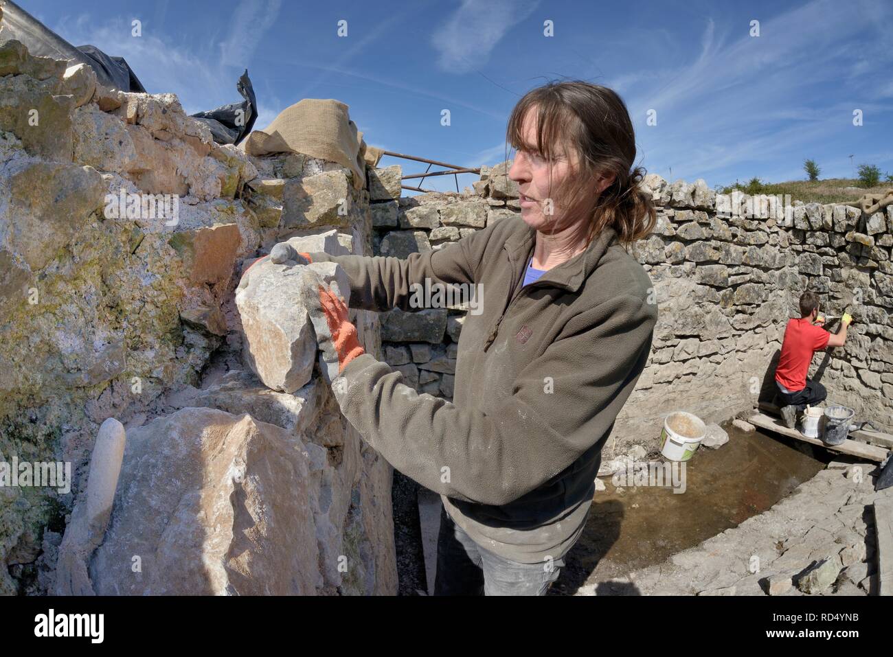 Muro di pietra di un dewpond abbandonati in fase di ricostruzione e repointed durante i lavori di ristrutturazione per attrarre grandi tritoni crestato (Triturus cristatus), Somerset, Regno Unito. Foto Stock