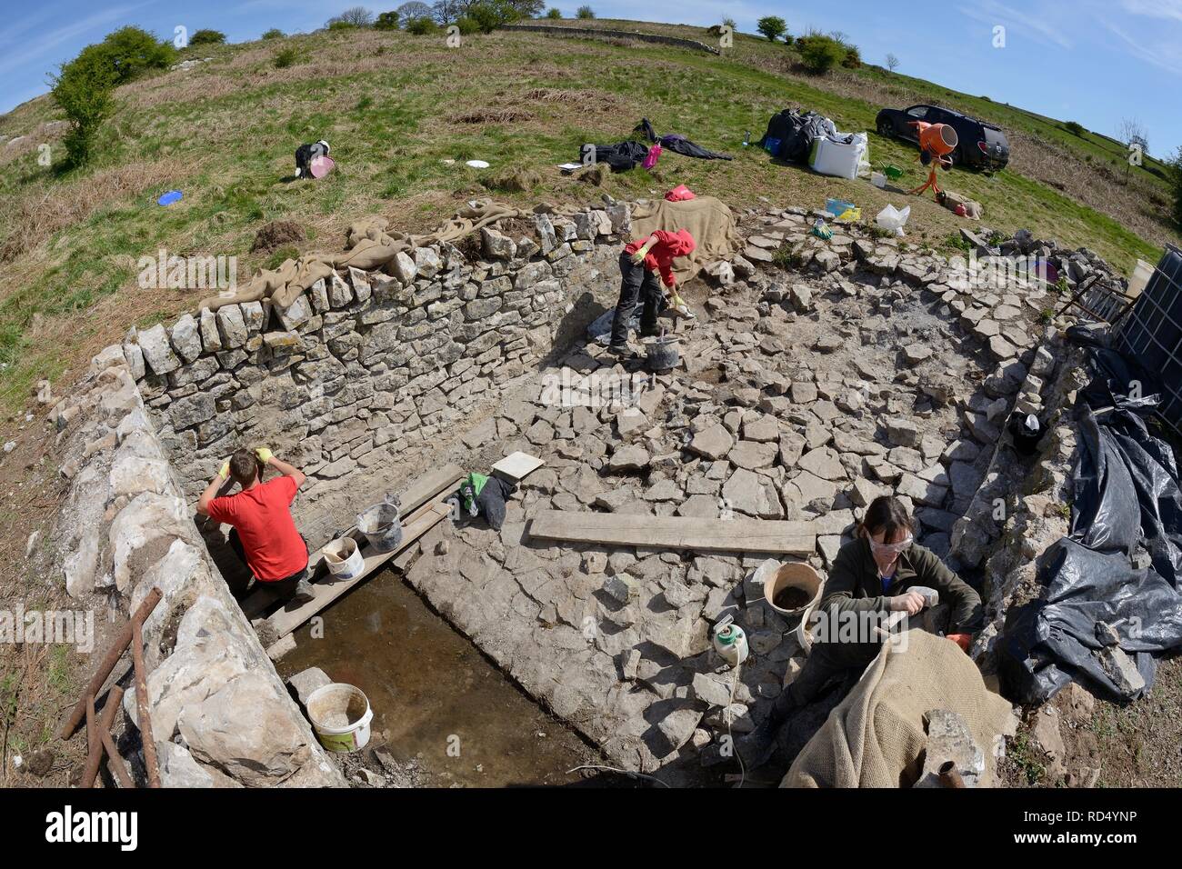 Muro di pietra di un dewpond abbandonati in fase di ricostruzione e repointed durante i lavori di ristrutturazione per attrarre grandi tritoni crestato (Triturus cristatus), Somerset, Regno Unito. Foto Stock
